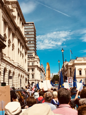 Image courtesy of Eleanor Rylance People's March